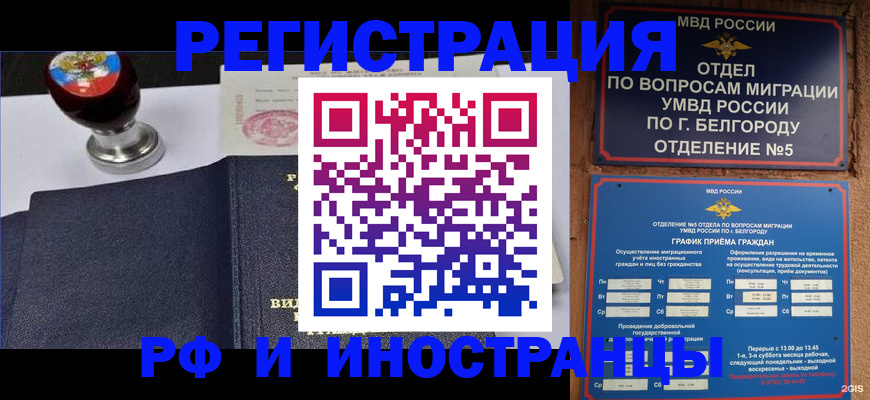 временная регистрация поиск в Завитинске